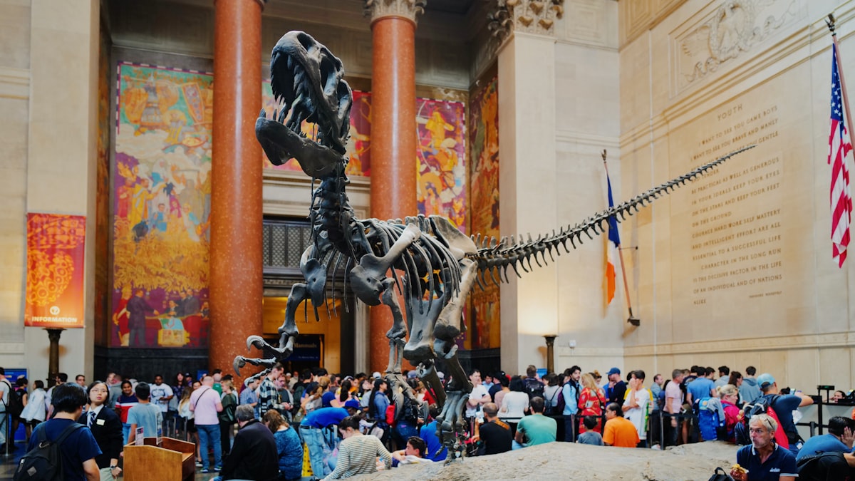 Museo Americano de Historia Natural