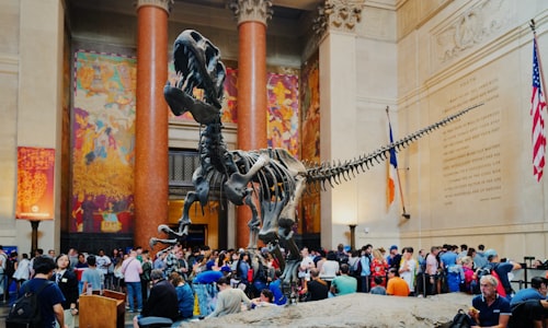 Museo Americano de Historia Natural