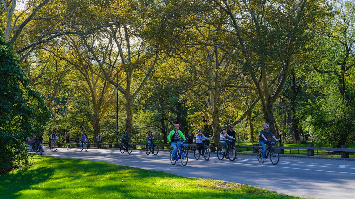 Tour en bici por Central Park