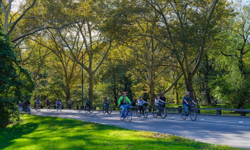Tour en bici por Central Park