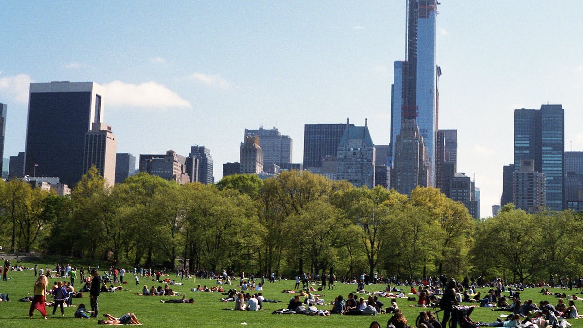 Perfect Picnic en Central Park
